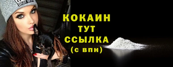 spice Вяземский