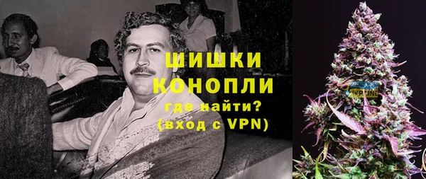 spice Вяземский