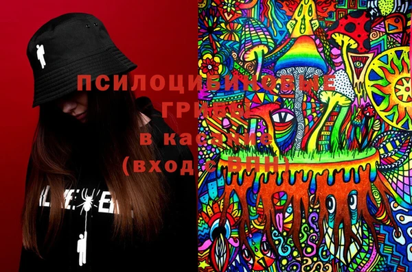 spice Вяземский