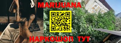 прущие крисы Камышлов