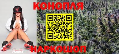 шишки Волгодонск