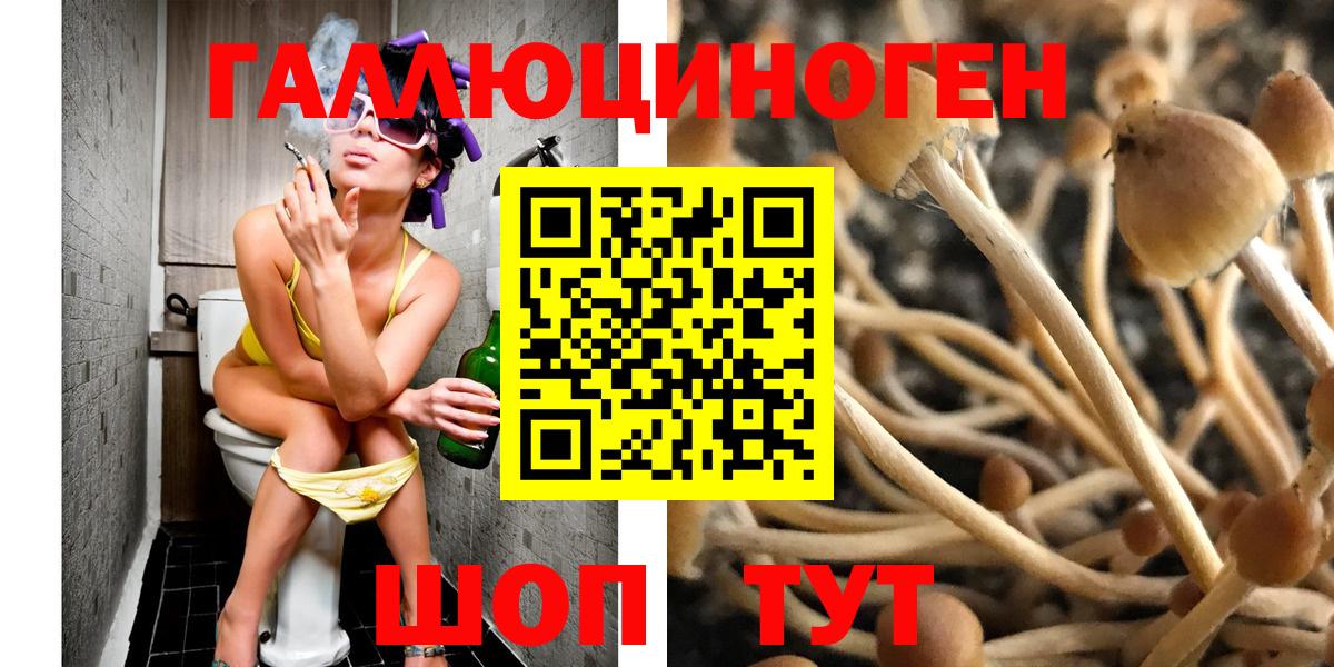 Псилоцибиновые грибы GOLDEN TEACHER Джанкой